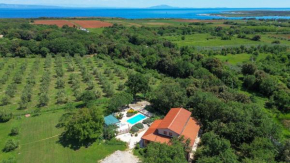 Vila Palera